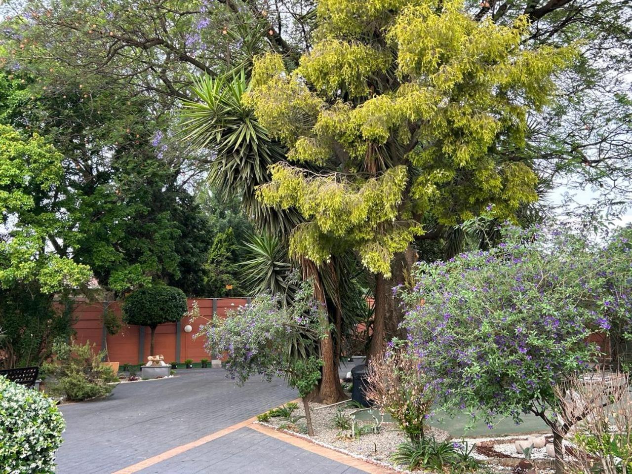 Blue Lantern Bed And Breakfast Kempton Park Eksteriør billede